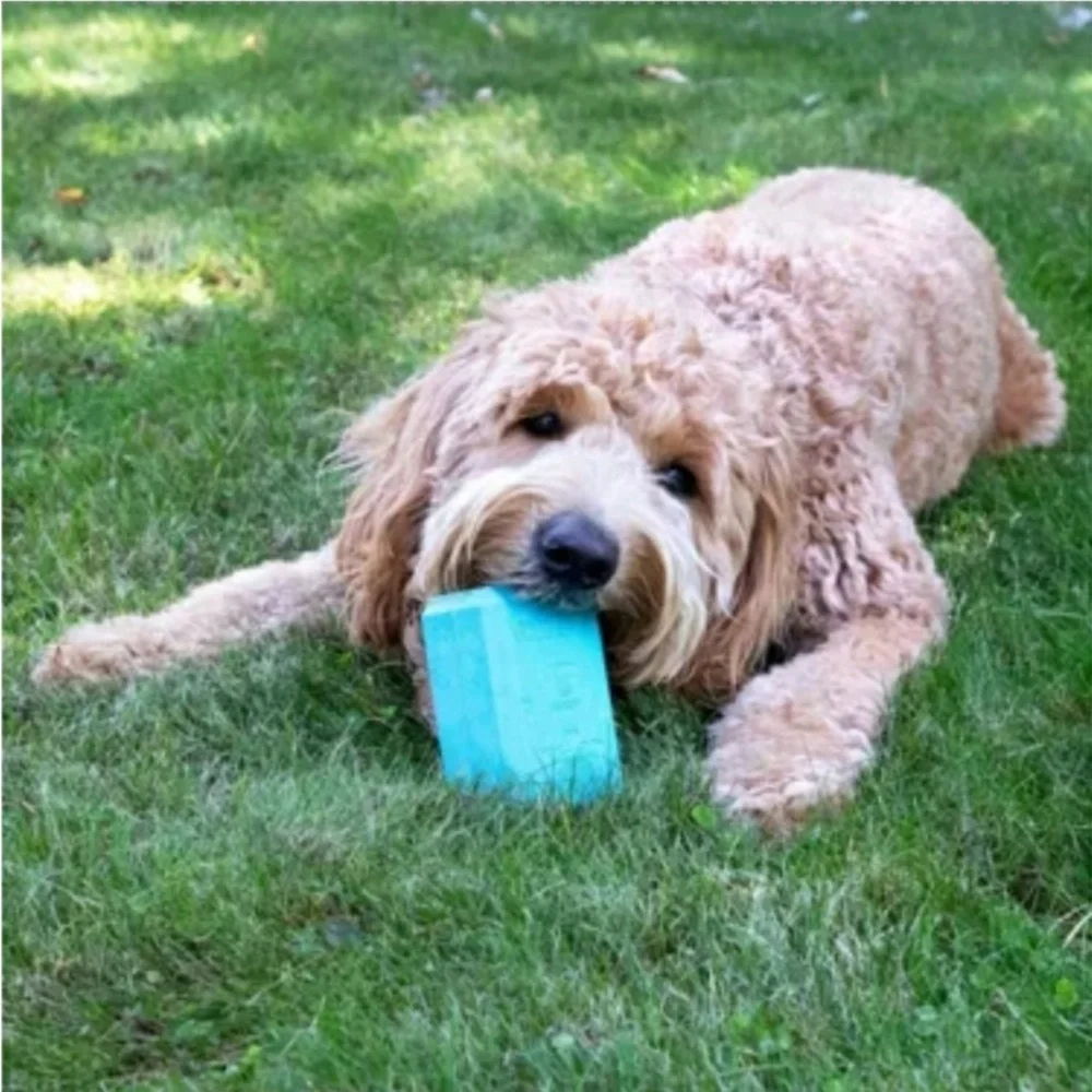NEW! Chew King Chill Fill 